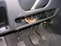20060801_schlange_02