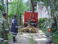 Foto: BFKDO 21, Zug 1/21 20060807_khd_02