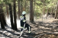 Foto: FF Pernitz 20061009_waldbrand_gutenstein_02