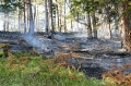 Foto: FF Pernitz 20061009_waldbrand_gutenstein_04