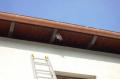 20061021_tierrettung_sollenau_02