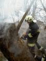 20070101_brandeggendorf_02