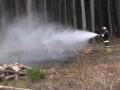 Foto: FF Piesting Walbrand Piesting