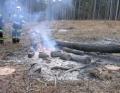 Foto: FF Markt Piesting 20070111_waldbrand_piesting_04