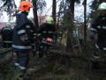 20070119_steinabr_03