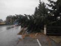 20070119_sturm_04