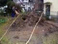 20070119_te_katzelsdorf_02
