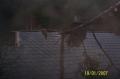 20070119_te_stoed4 Foto FF Oed