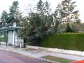 20070129_sturm_wn_02