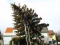 20070129_sturm_wn_03