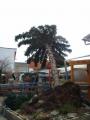 20070129_sturm_wn_04