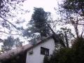 20070129_te_brunn_01