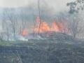 Foto: FF Wiener Neustadt 20070408_fluhrbrand_01