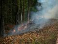 20070511_ffofenbach_brand_02