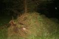 20070626_vu_pernitz_03