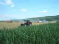 20070703_be_frohsdorf_001
