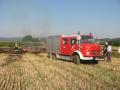 20070720_bahndammbrand_brunn_pitten_05