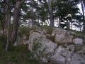 20070722_be-mp-waffensuche