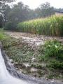 Foto: FF Brunn an der Pitten 20070820_unwetter_ffbrunn_pitten_03