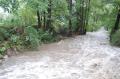 20070907_hochwasser_felixdorf_aktuell_01