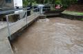 20070907_hochwasser_felixdorf_aktuell_03