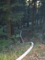 20070929_khd_11
