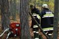 Foto: Woldron Stephan 20071013_afkdo_g_01_9