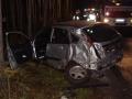 20071030_vu_im_foehrenwald_01