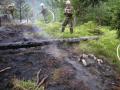 Foto: FF Pernitz 2007_07_09_waldbrand_02