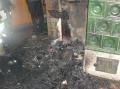 Foto: FF Gutenstein ffgbrand06