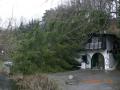 20080127_ramona_sturm_01