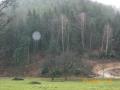 20080127_ramona_sturm_02