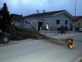 Foto: FF Bad Erlach 20080127_sturm-erlach_01