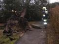 Foto: FF Pernitz 20080127_sturm_pernitz_04