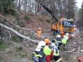 Foto: FF Walpersbach 20080127_sturmschadenffwalpersbach_02