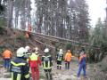 20080127_sturmschadenffwalpersbach_04