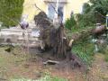 20080128_sturmeinsatz_fischau_1
