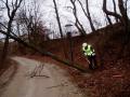 Foto: FF Katzelsdorf 20080129_ffkatzelsdorf_01_3