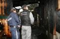 20080301_ffpernitz_brand_01_2