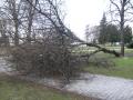 20080301_sturm-wrn