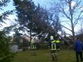 20080302_strumeinsatz_fischau_2