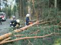 20080302_sturm-erlach_01