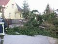 20080302_sturm-erlach_03