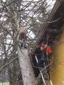 20080329_strum_wopfing_18