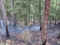 20080517_waldbrand-klingfurth_01
