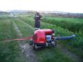 20080529_uebung_theresienfeld_02