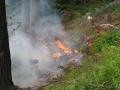 Foto: FF Ofenbach 20080622_waldbe_ofenbach_01
