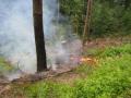 20080622_waldbe_ofenbach_02