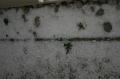 20080624_techfelixdorf_2