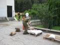 20080627_unwetter_walpersb_06